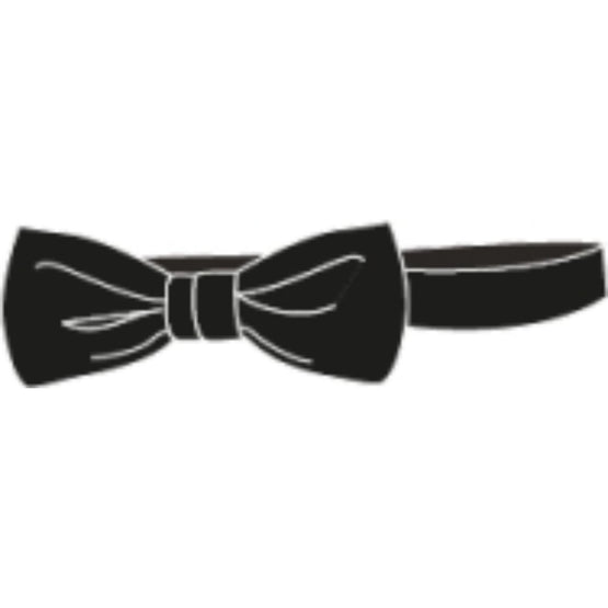 Boys Bow Tie