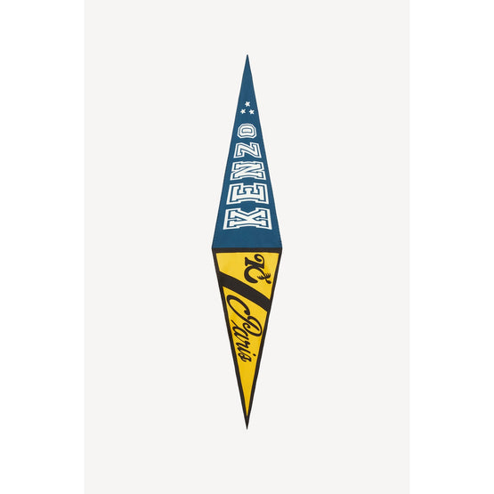 Men Baseball Flag - Duck Blue
