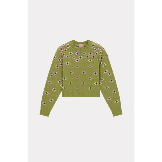 Women Popcorn Fairisle Jumper - Green