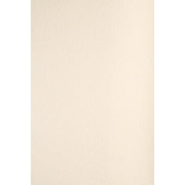 Men T24To04 Jbas D02 Beach Towel - Ecru